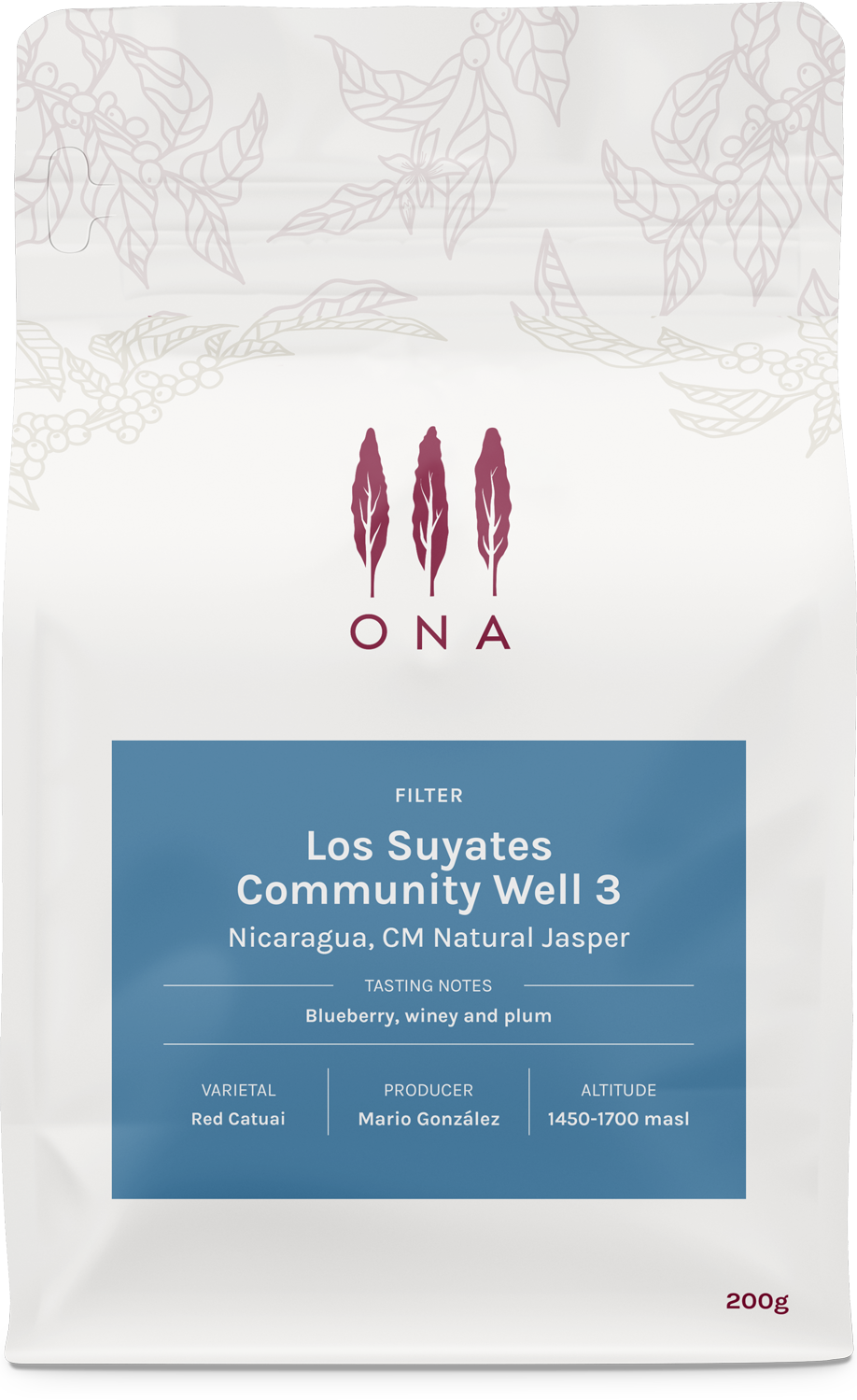 Los Suyates Community Well 3, Nicaragua, CM Natural Jasper