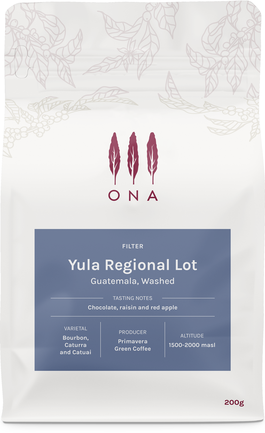 Yula Regional Lot, Guatemala, Washed
