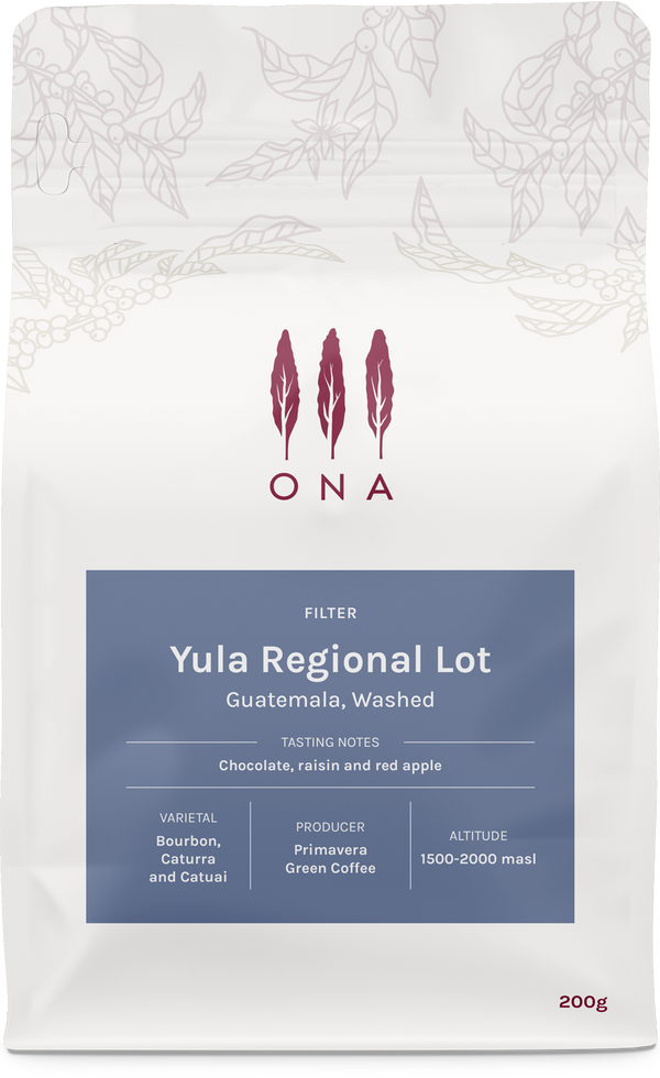 Yula Regional Lot, Guatemala, Washed