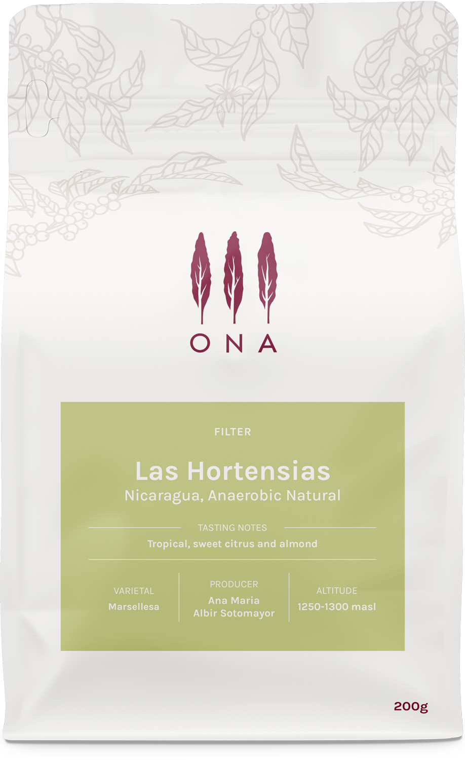 Las Hortensias, Nicaragua, Anaerobic Natural