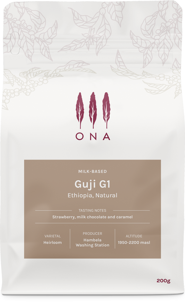 Guji G1, Ethiopia, Natural